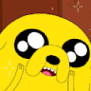 Meet your Posher, Bella